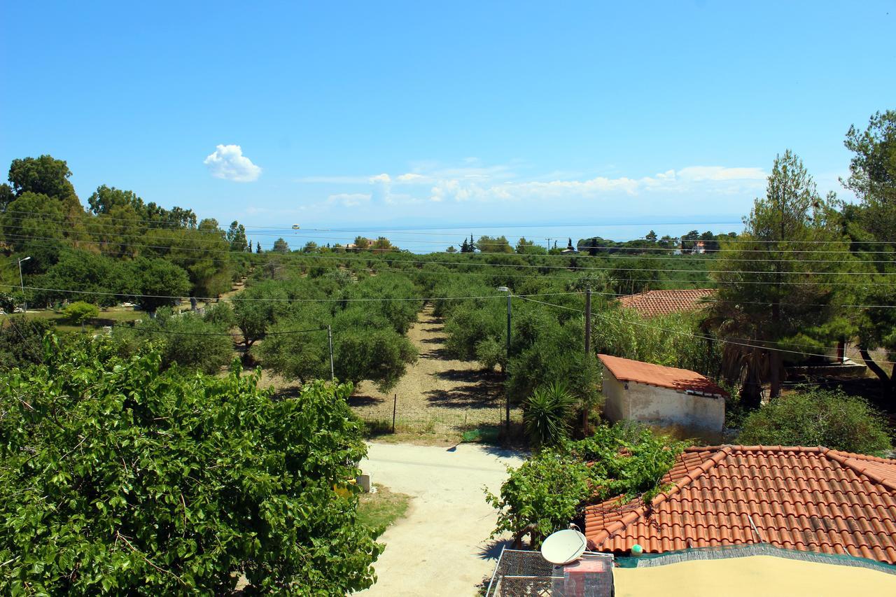 Zante Yliessa Apartamento Vasilikí Exterior foto
